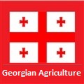 (English) Georgian Agriculture